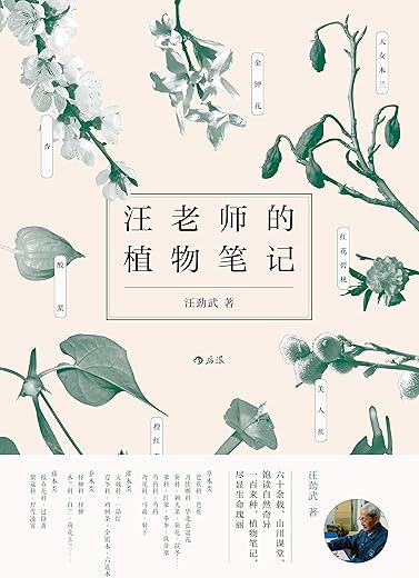 汪老师的植物笔记