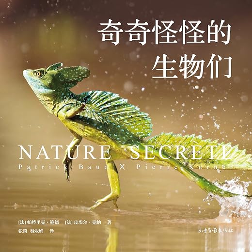 奇奇怪怪的生物们 奇奇怪怪的生物们