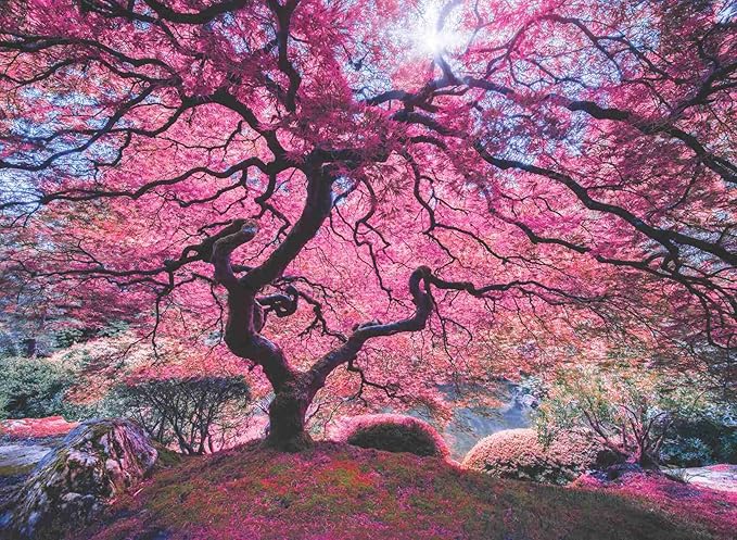 1000片 拼图 perre group 粉色树 pink tree 48×66cm 1037
