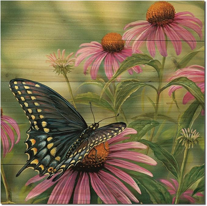 wgi gallery wa-bsb-1212 黑尾蝴蝶墙壁艺术