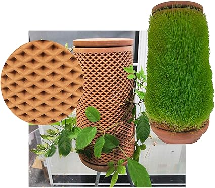 Terra Planter 是一款室内种植器 在无土壤的地面上种植植物 自灌溉 自分配水培培培植器 适用于植物爱好者 水穿过种植器墙灌溉植物 亚马逊中国 家居装修