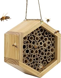 mason bee house 手工制作天然竹蜂巢 - 吸引宁静的蜜蜂授粉器,提升您