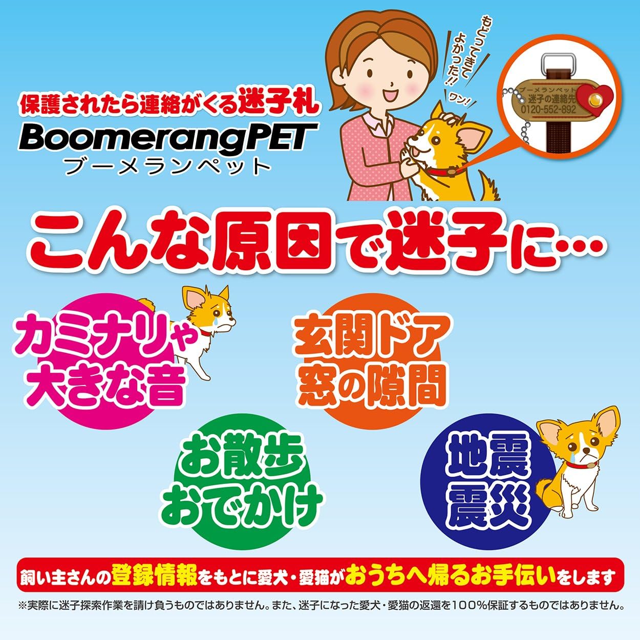 Petio Petio 波美拉尼亚宠物迷子札花m 亚马逊中国 宠物用品