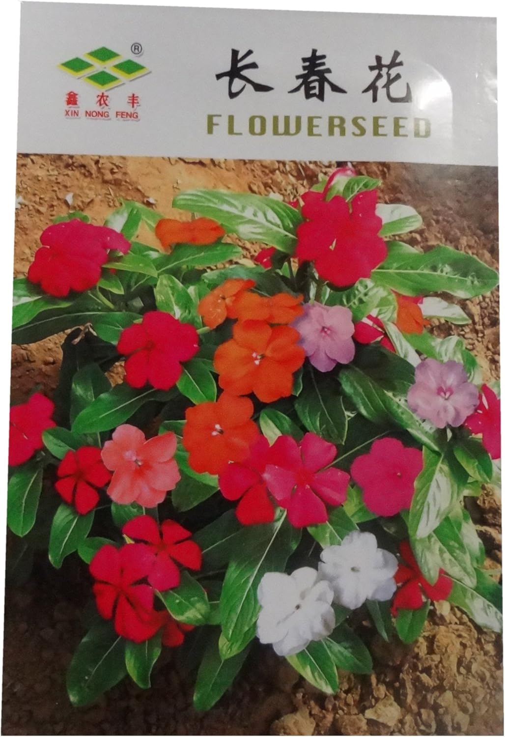 锦萱长春花种子别称 日日春 日日草 日日新 三万花 四时春 时钟花 雁来红家庭种植实用装阳台室内盆栽花卉种子庭院花种子