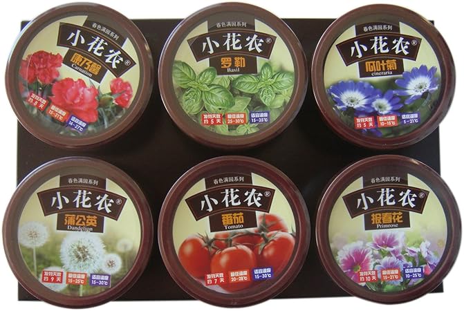 小花农diy 办公室防辐射迷你组合装植物盆栽春色满园冰淇淋杯报春花 瓜叶菊 番茄 罗勒 康乃馨 蒲公英442 玩具 亚马逊中国