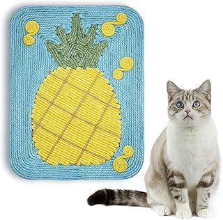 亚马逊海外购 窝及家具 猫用品 宠物用品 Amazon Cn 亚马逊海外购 窝及家具 猫用品 宠物用品 Amazon Cn