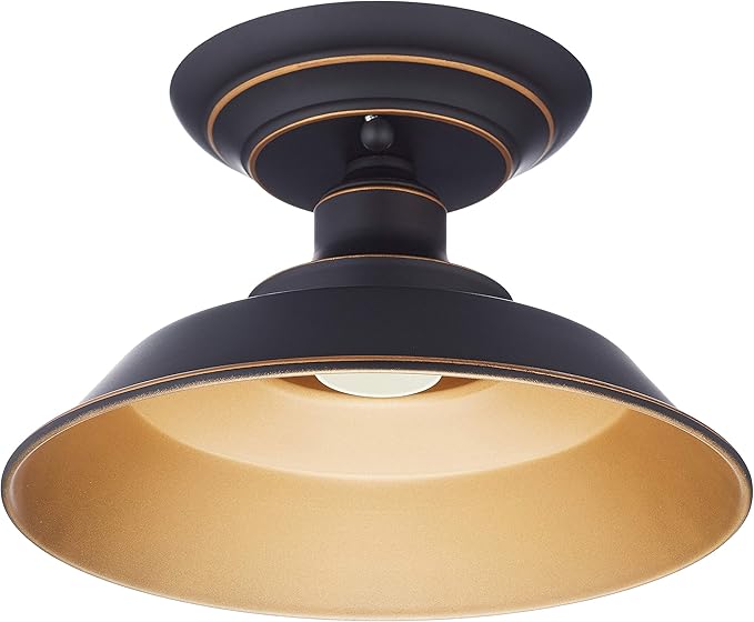 63701 iron hill 系列单个灯泡,22 厘米,用于天花板安装westinghouse