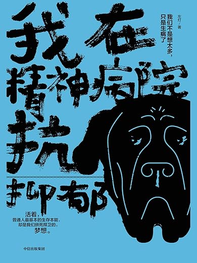 我在精神病院抗抑郁