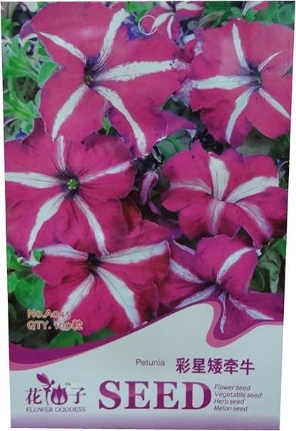 锦萱花仙子系列彩星矮牵牛种子英文名 Garden Petunia Common