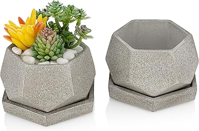 essentra home 多肉植物花盆 2 件套 | 灰色水泥六角形多肉植物盆带