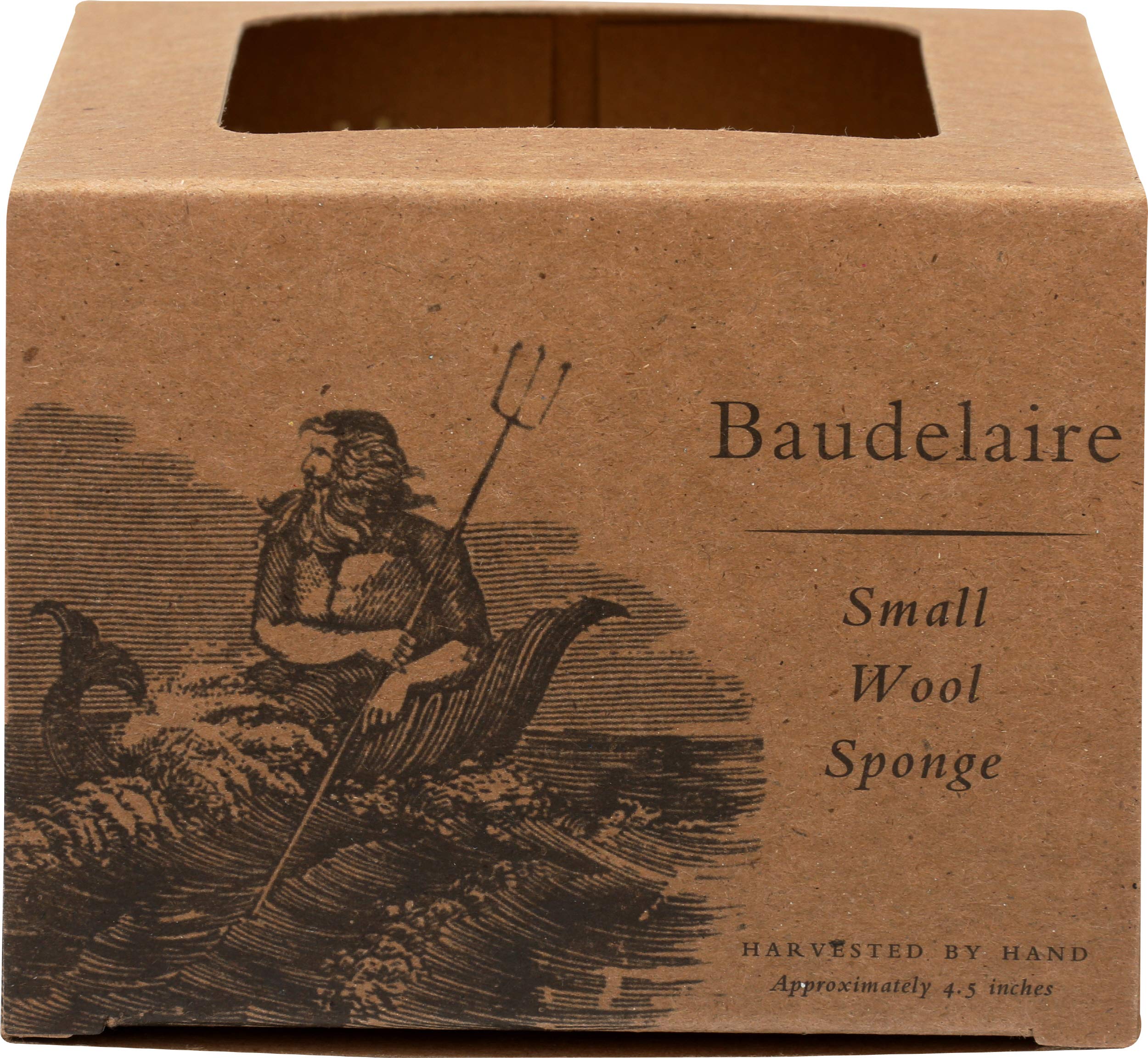 Baudelaire Wool Sponge 4.5 sponge