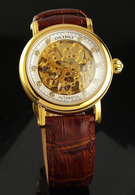 olipai欧力派手表机械表男表jt7022sgswcof