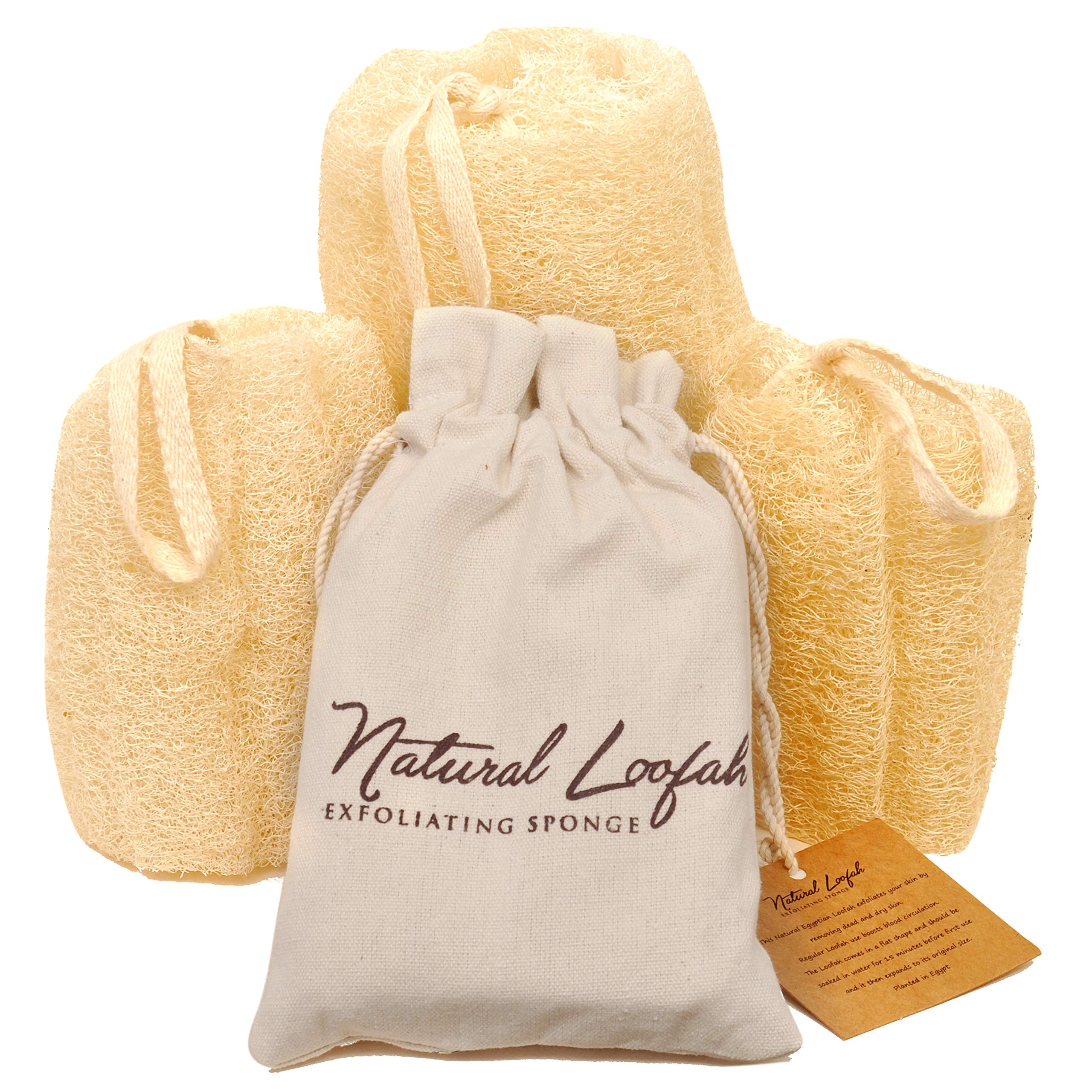 Egyptian Natural Luffa Peel Exfoliating Body Scrub - Our Bathing Luffa Peel provides refreshing and deep cleansing for your face and body - These Luffa Peels are skin friendly and pure -15.24 x 15.24