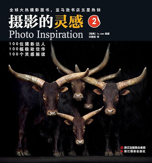 摄影的灵感2