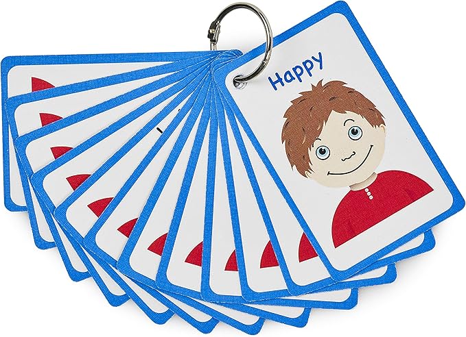 my feelings and emotion boys flash card for visual aid special