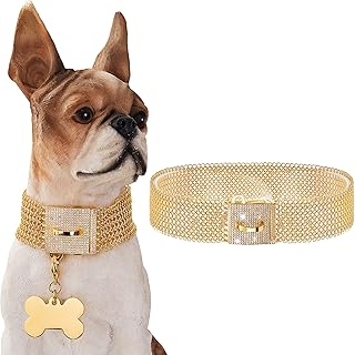 狗链项圈项链 18k 白金镀不锈钢链颈圈带闪亮锆石设计*扣,30mm 强力防