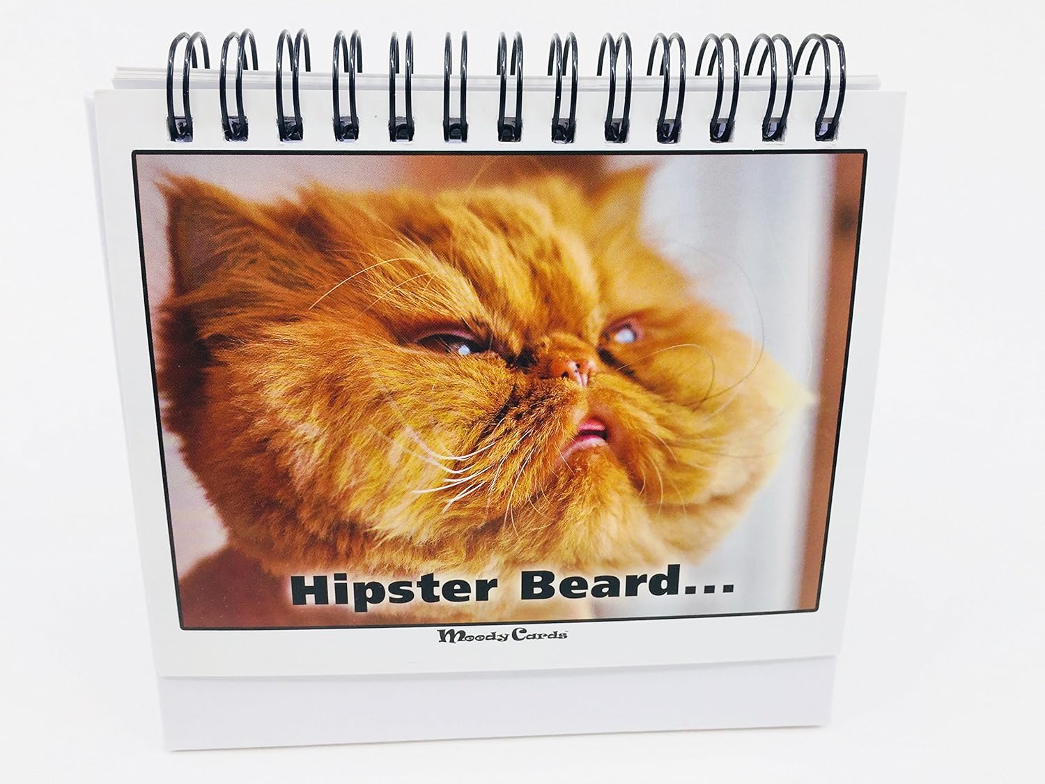 送给爱猫人士的办公室礼物 Moodycards 让每个人欢乐和有趣的猫咪回忆 让kittys 告诉每个人怎么感觉 的办公室礼物 25 种不同的模型 办公用品 亚马逊中国