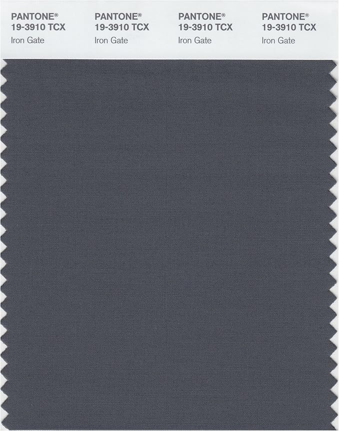 Pantone 193910 TCX Smart Color Swatch Card, Iron Gate 亚马逊中国 办公用品