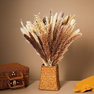 蓬勃树枝植物白色/棕色蒲苇草兔子尾巴蒲苇装饰家居装饰花卉布置婚礼