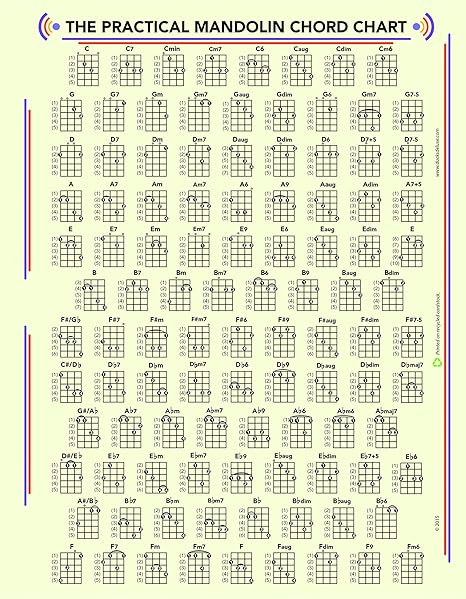 The Practical Mandolin Chord And Fret 板卡 亚马逊中国 乐器
