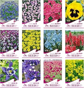 12袋装花卉种子蓝庭芥荷兰菊粉色矮牵牛三色