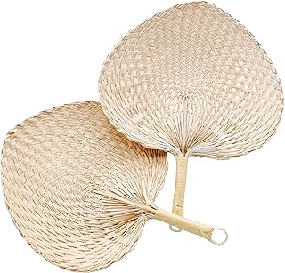 beach fan 棕榈叶扇手工编织环保农舍厨房夏季凉爽派对沙滩 2 件装