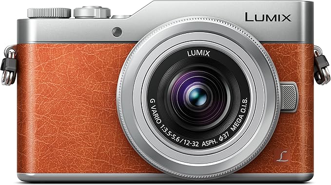 panasonic 松下 lumix 系统相机(1600万像素 , 4k30帧 视频录制,混合