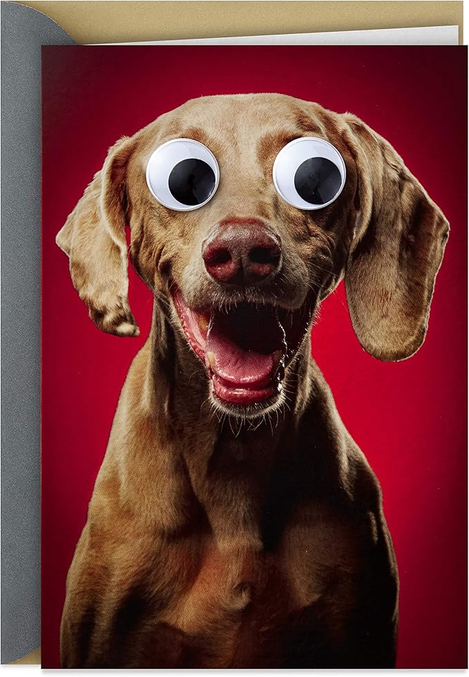 hallmark shoebox 趣味周年纪念卡,重要其他人的爱情卡(华夫饼笑话)