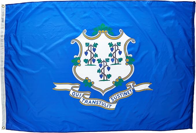 annin 康涅狄格州州旗 多色 4 by 6 foot