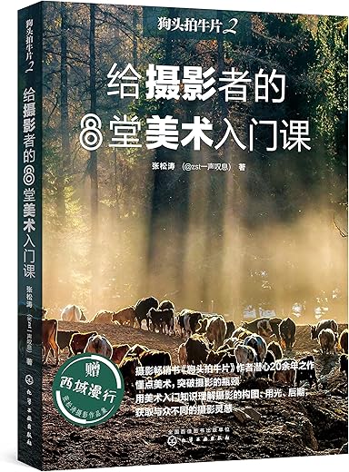 狗头拍牛片2：给摄影者的8堂美术入门课