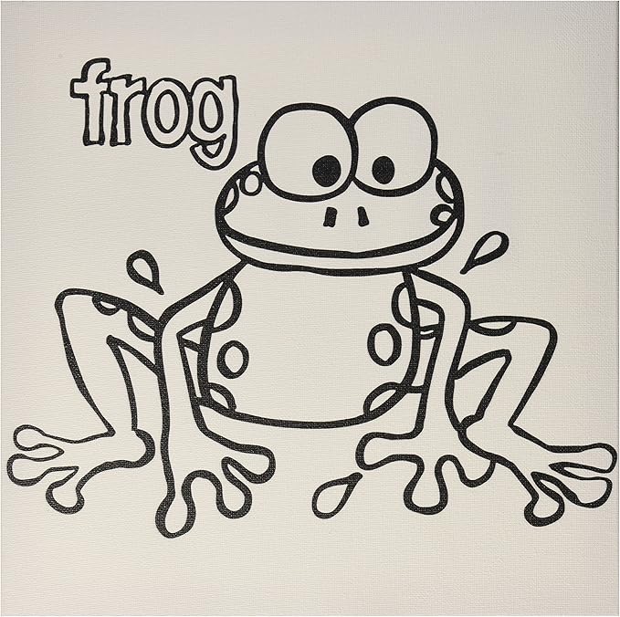 paintadoodle 12 x 12 青蛙帆布画套件