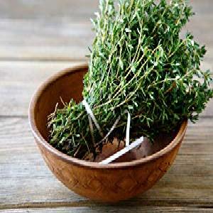 cleanwell 植物洗手液喷雾,橙色香草,1盎司(约28.