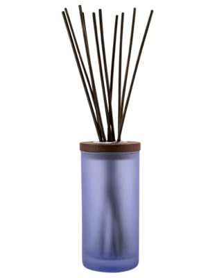 chesapeake bay candle pt31912 香薰蜡烛,自信   自由(橡苔琥珀)