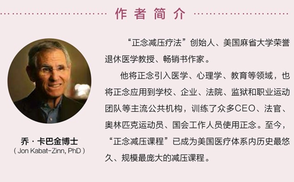 《正念:此刻是一枝花》 乔61卡巴-金(jon kabat-zinn), 王俊兰 书评