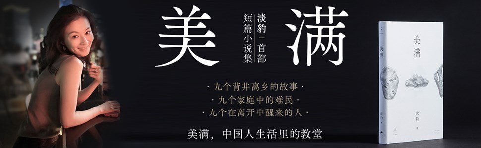 《美满【淡豹首部短篇小说集,在人海中打捞生活的骸骨,用现实的星星